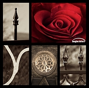 Wall_Art_Alphabet_Photography_Art_ 995